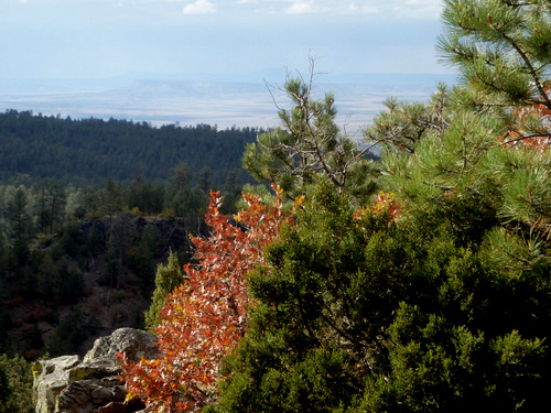 GDMBR: Felipe-Tafoya Land Grant to San Mateo Spring.